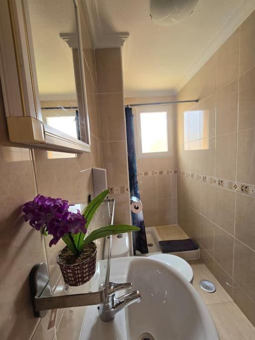 Apartament Carina 马尔德·克里斯塔尔 外观 照片